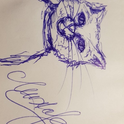 Unbenannte Katzenzeichnung