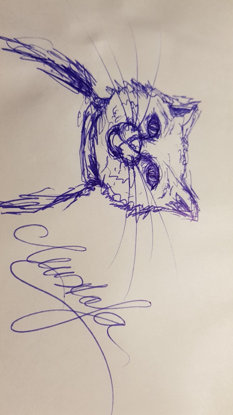 Handgezeichnete Katze Unbenannt