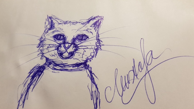 Handgezeichnete Katze Unbenannt