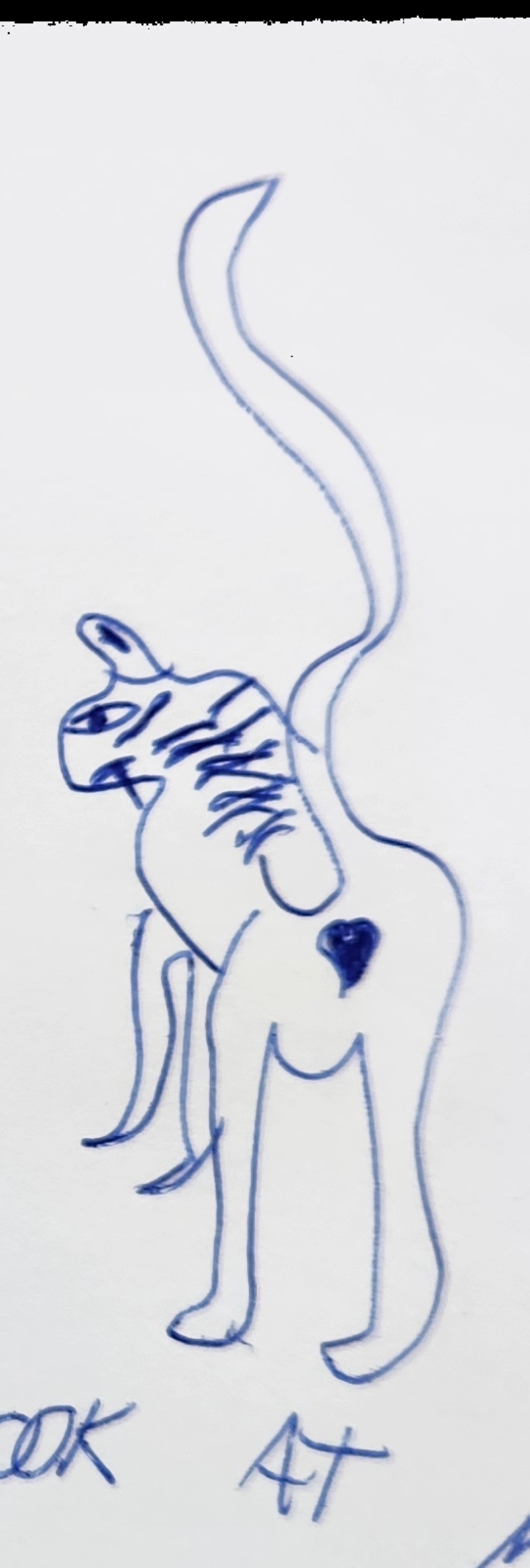 Handgezeichnete Katze Mauz mit Herz