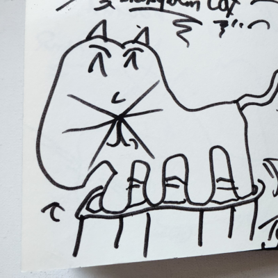 Trampolin Cat