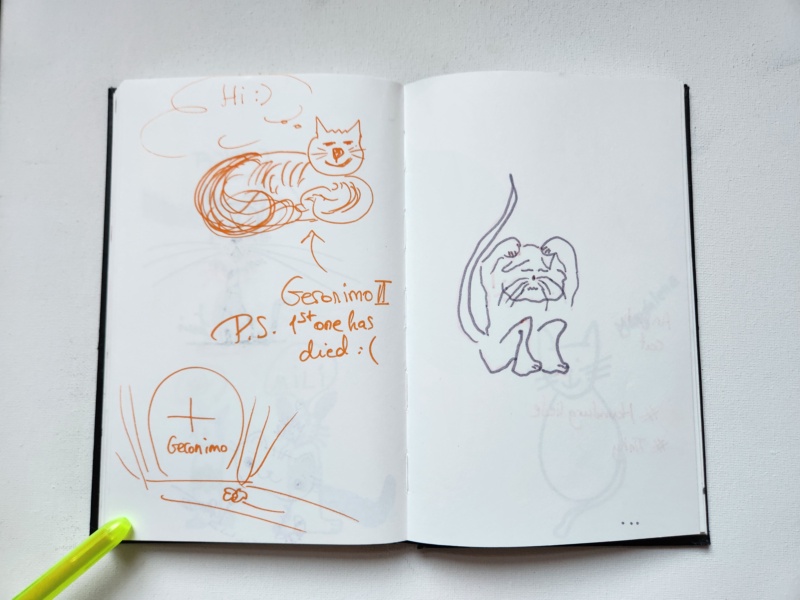 Handgezeichnete Katze Unbenannt