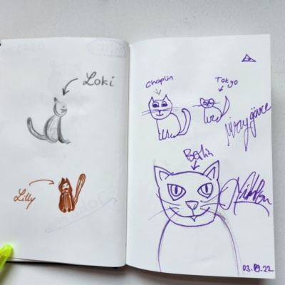 Unbenannte Katzenzeichnung