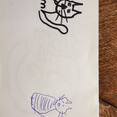 Unbenannte Katzenzeichnung