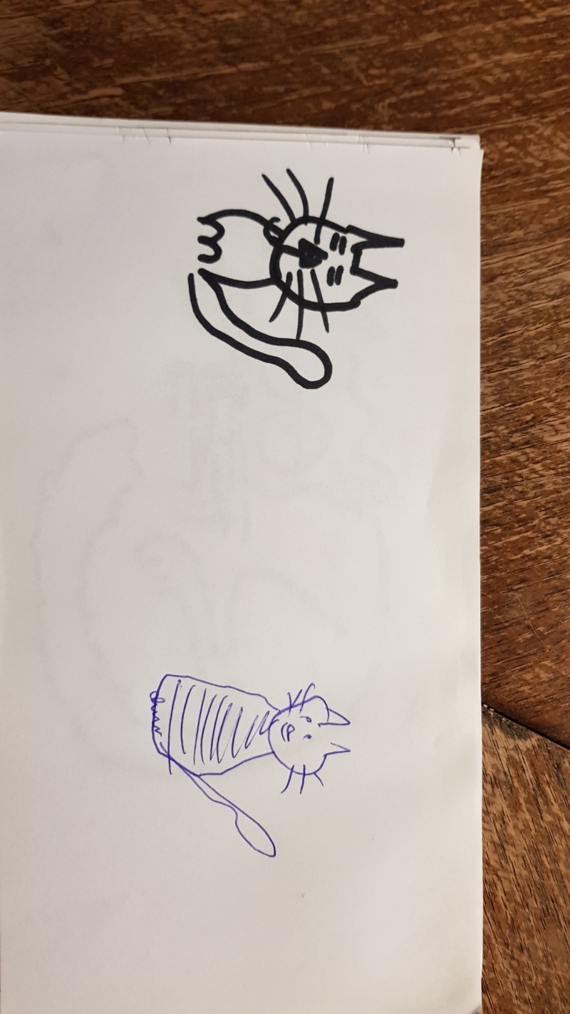 Handgezeichnete Katze Unbenannt