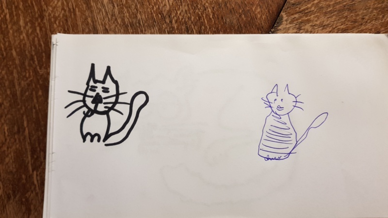 Handgezeichnete Katze Unbenannt