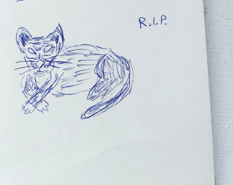 Handgezeichnete Katze NIETZI