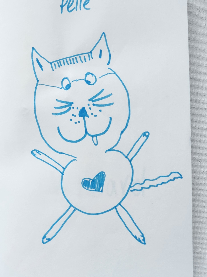 Handgezeichnete Katze Pelle