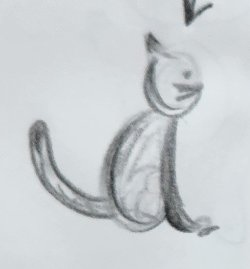 Handgezeichnete Katze Wuschelohr