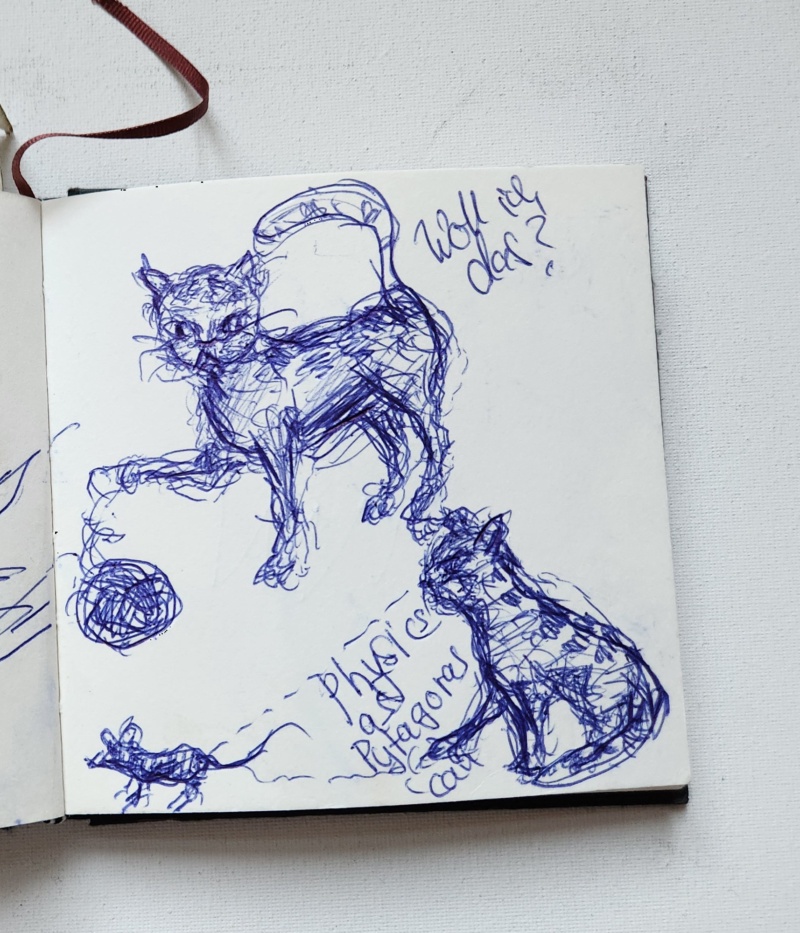 Handgezeichnete Katze Mauzi