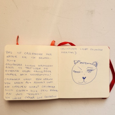 Unbenannte Katzenzeichnung