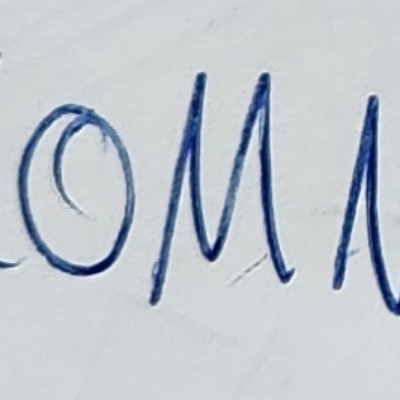 Mauzi
