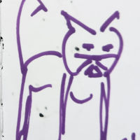 Zwinkerzwickel