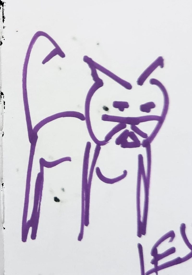 Handgezeichnete Katze Zwinkerzwickel