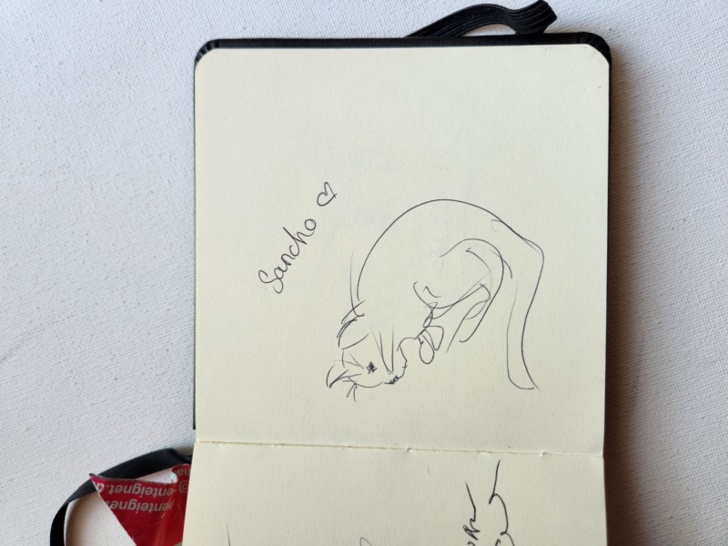 Handgezeichnete Katze Unbenannt