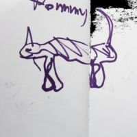Pommy