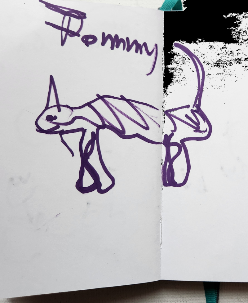 Handgezeichnete Katze Pommy