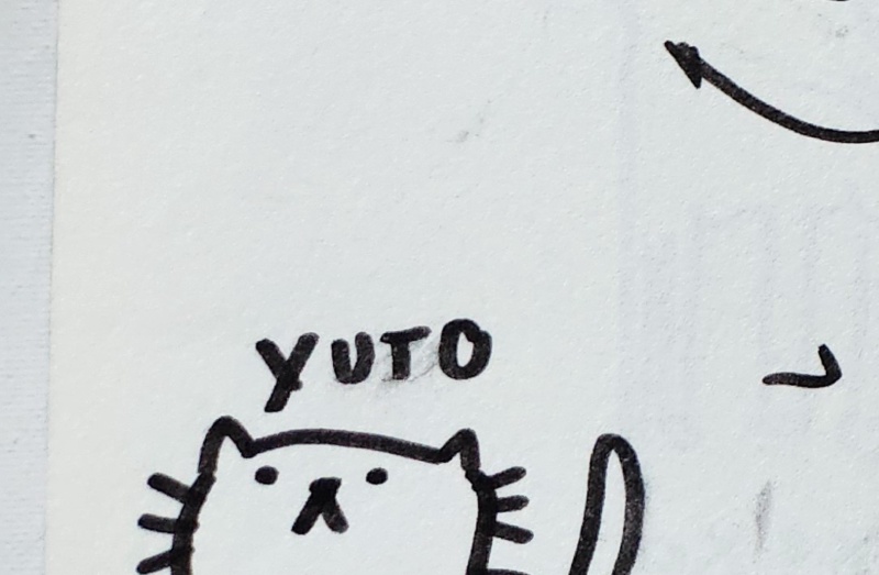 Handgezeichnete Katze YUTO