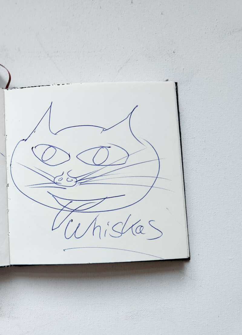 Handgezeichnete Katze Whiskas