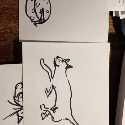 Unbenannte Katzenzeichnung