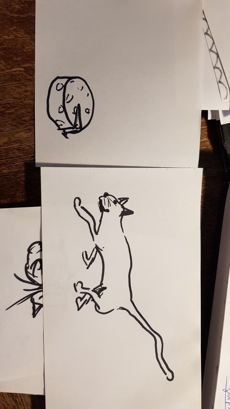 Handgezeichnete Katze Unbenannt