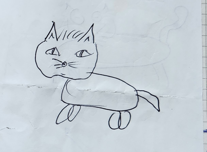 Handgezeichnete Katze Wuschelbär