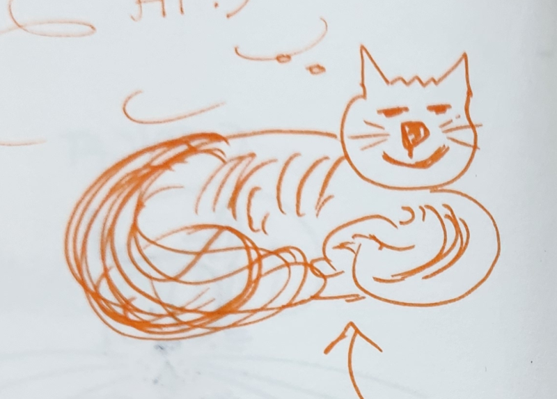 Handgezeichnete Katze Wuschelbauch