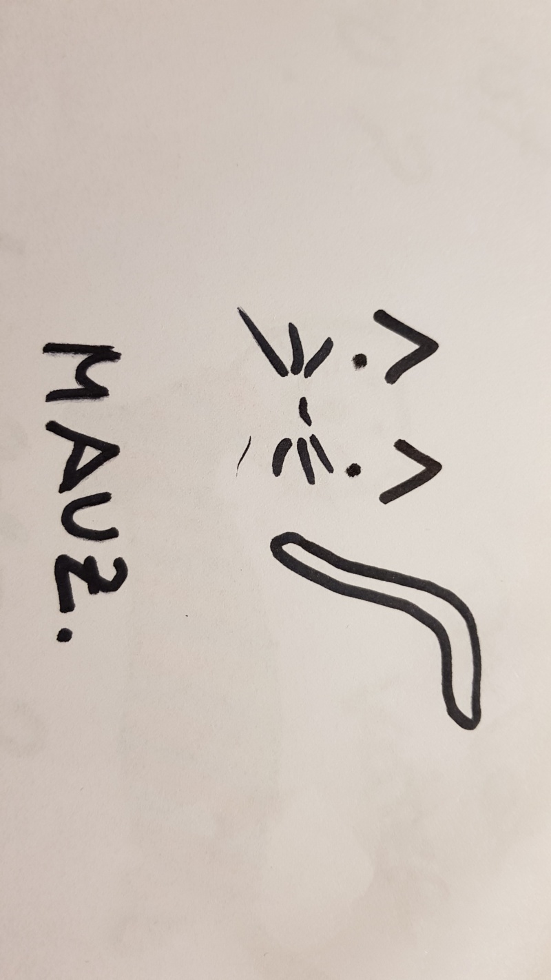 Handgezeichnete Katze Unbenannt
