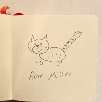 Unbenannte Katzenzeichnung