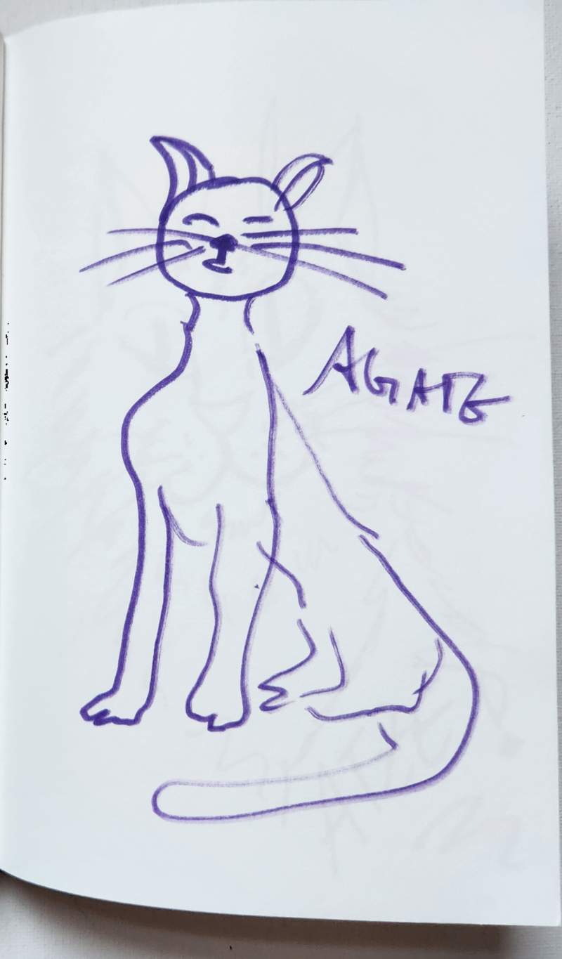 Handgezeichnete Katze AGATE