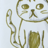Mr. Fluffy