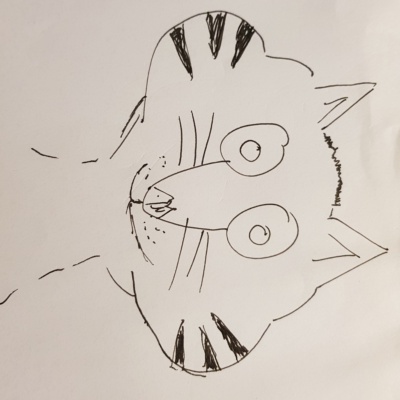 Unbenannte Katzenzeichnung