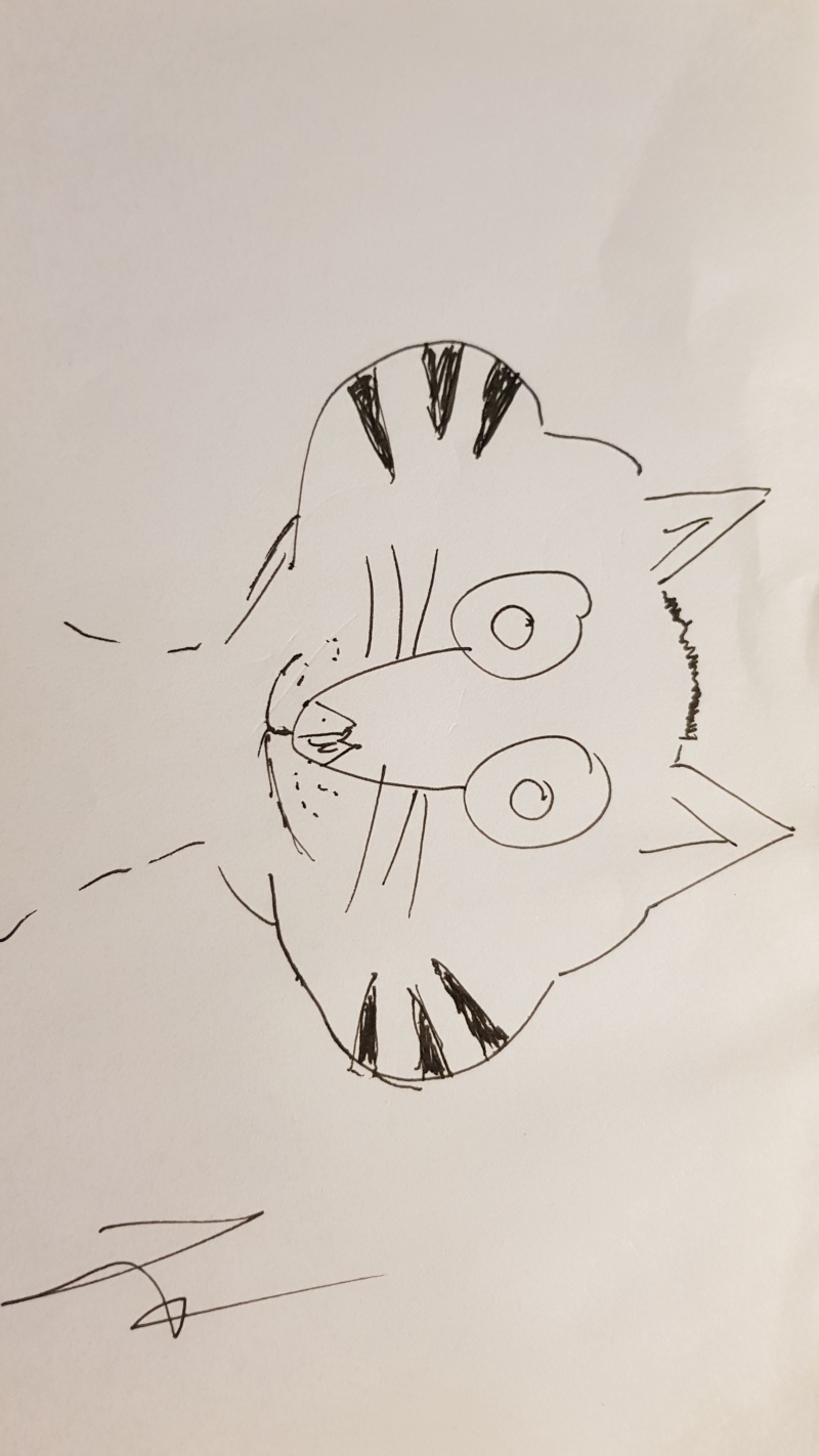 Handgezeichnete Katze Unbenannt