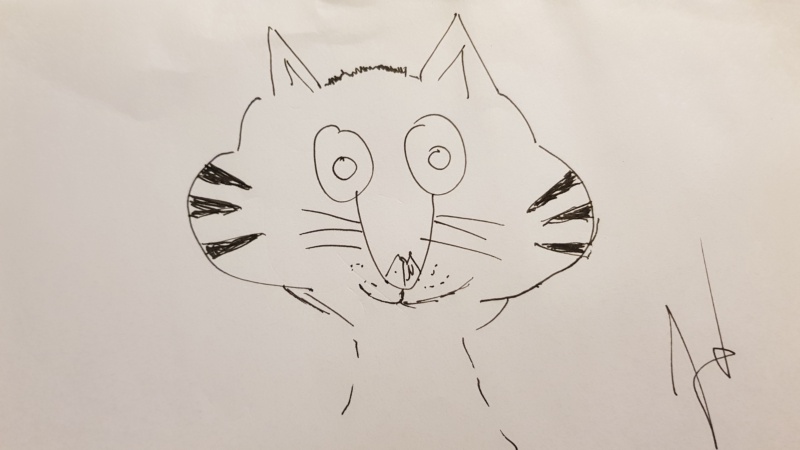 Handgezeichnete Katze Unbenannt